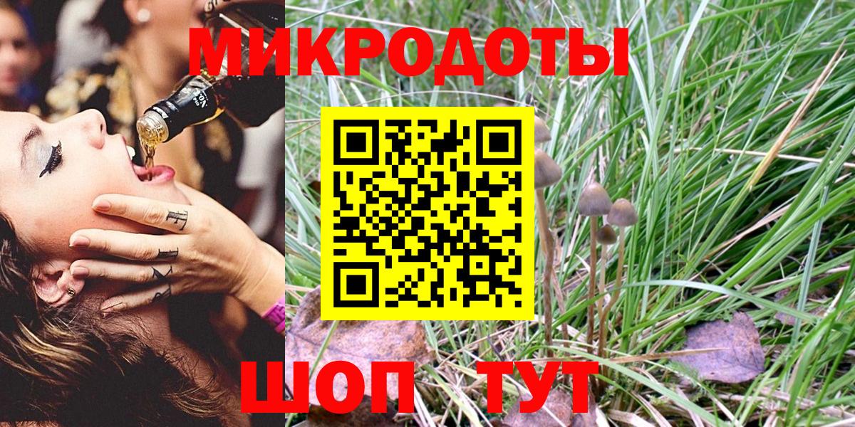 Галлюциногенные грибы Psilocybine cubensis Сафоново
